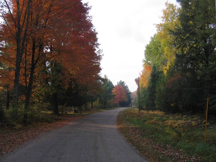 255.JPG